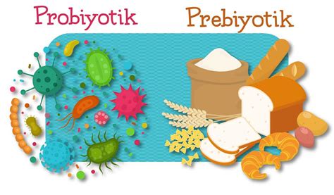 probiyotik ve prebiyotik besinler